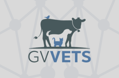 GV Vets
